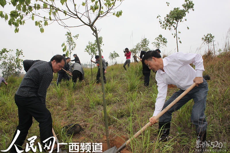 春日党员群众植树忙412 / 作者:风油精 / 帖子ID:65486