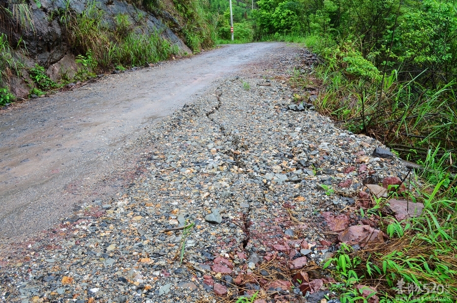 请关注东椅营岛四村人民的生命线989 / 作者:Fysm / 帖子ID:63457