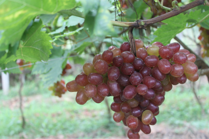 寻找伯乐（找投资伙伴）21 / 作者:移不动 / 帖子ID:67258