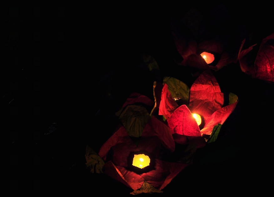 雅安加油！！！恭城人民和您在一起！！！701 / 作者:星想事成 / 帖子ID:67327