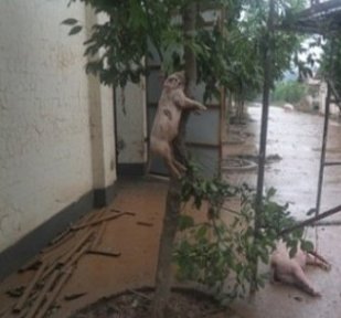 这才是一个男人说的话765 / 作者:爱迩美全屋定制 / 帖子ID:67382