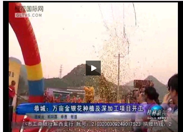 万亩金银花种植及深加工项目开工426 / 作者:水墨茶江 / 帖子ID:67422