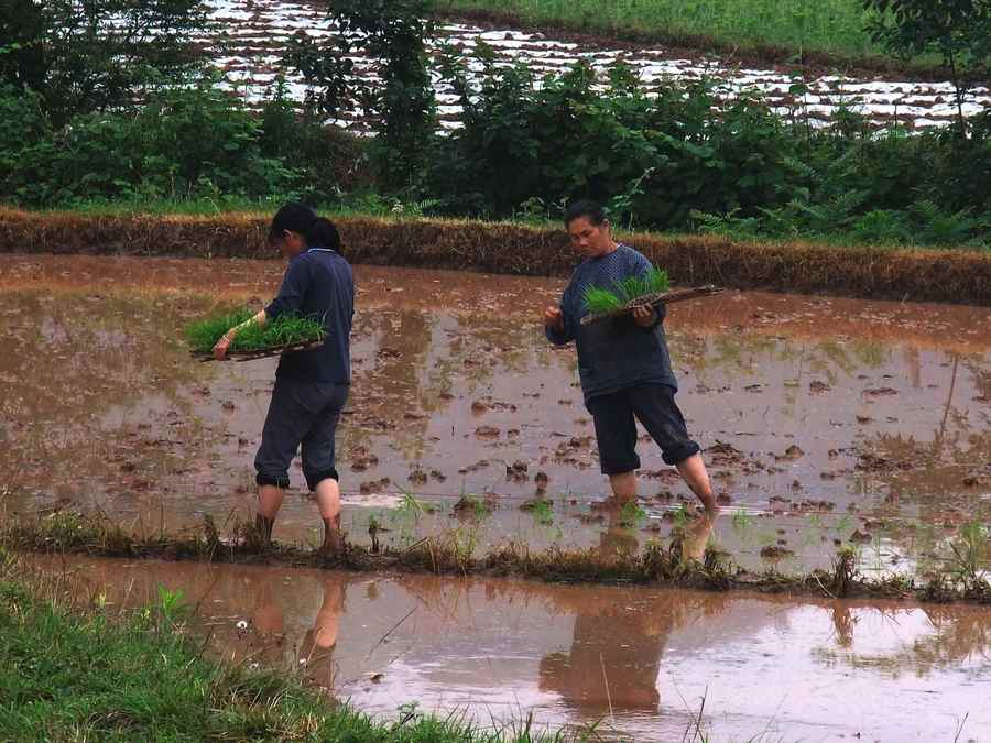 劳动节的礼歌 献给那些默默无闻辛勤劳动着的人们538 / 作者:山野图夫 / 帖子ID:67445
