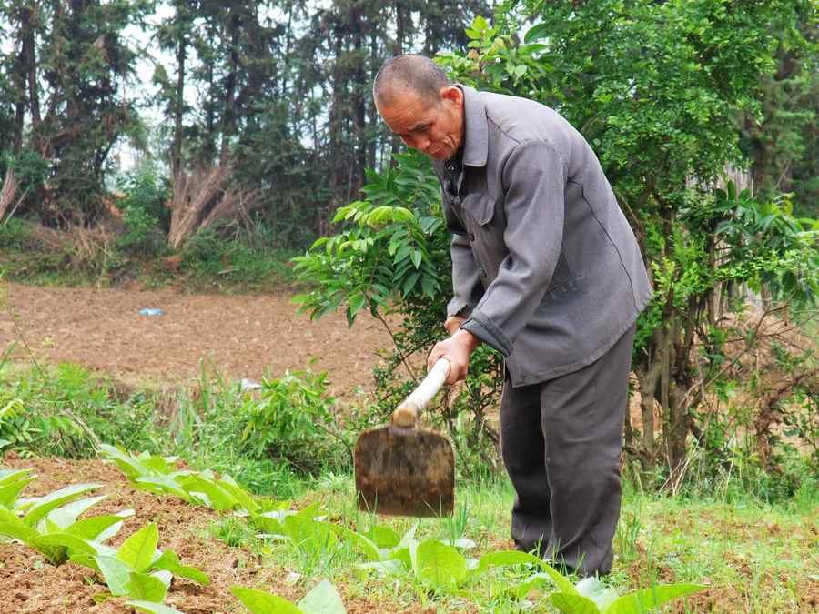 劳动节的礼歌 献给那些默默无闻辛勤劳动着的人们50 / 作者:山野图夫 / 帖子ID:67445