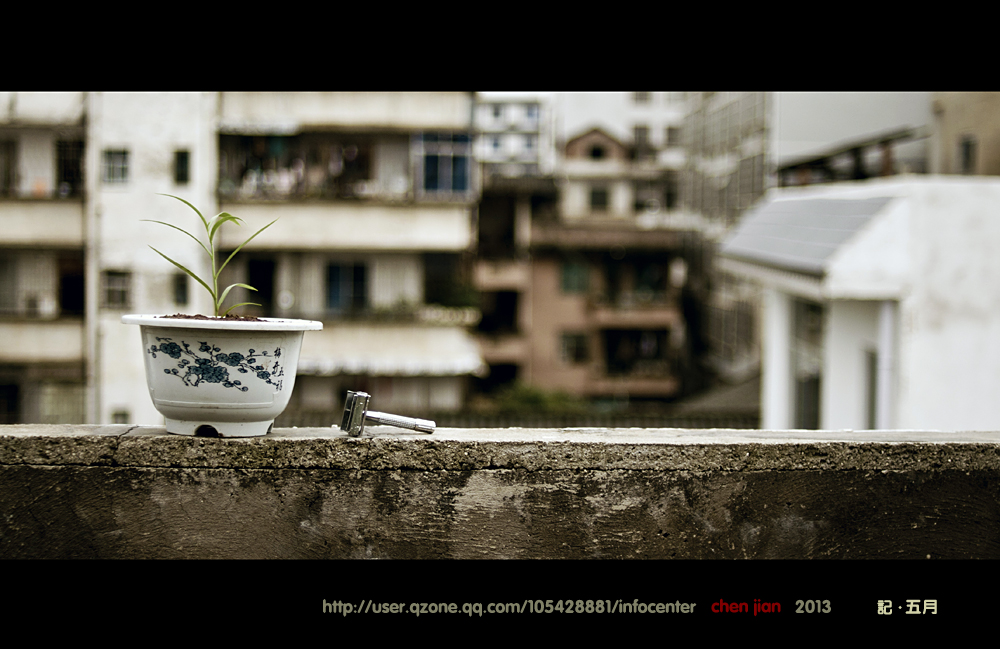 近日随拍。529 / 作者:講不醜 / 帖子ID:67808