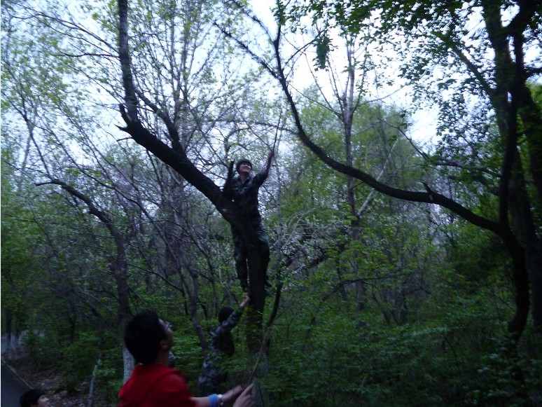 恭城五月芳菲尽，北国郁金尚含苞388 / 作者:马路桥~八区 / 帖子ID:67872