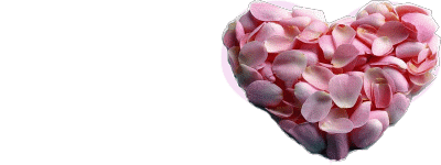 视频: 武汉：2岁女童爱上撕钱声 专撕百元大钞12 / 作者:瑶乡看兰 / 帖子ID:67807