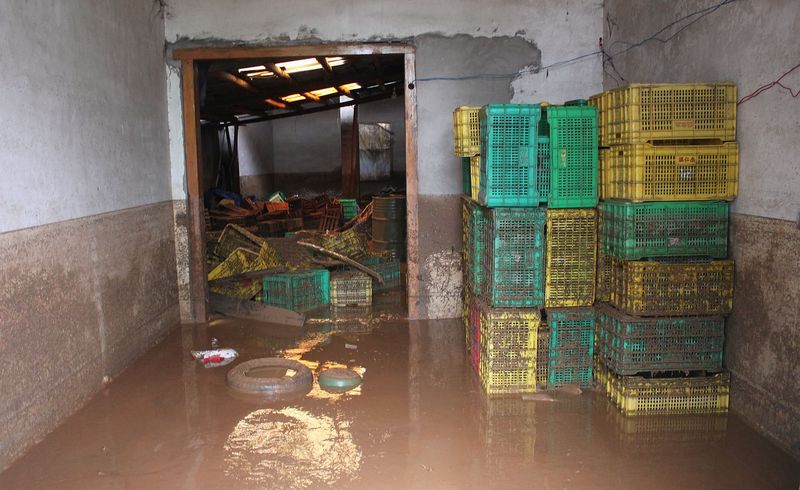 恭城:干部群众用行动谱写抗洪救灾赞歌　203 / 作者:普通网民 / 帖子ID:68009