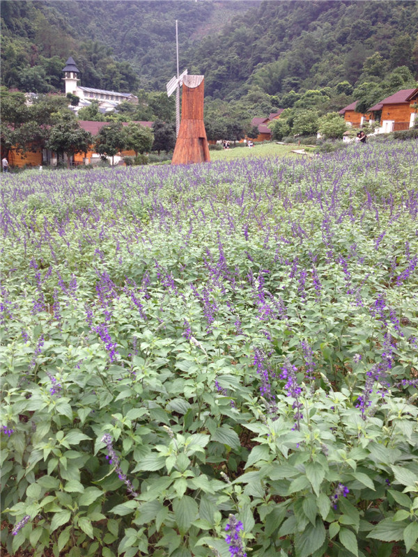 2013年盘龙峡 帐篷节 活动相片              (下面还有哦）83 / 作者:东顺电脑 / 帖子ID:68326