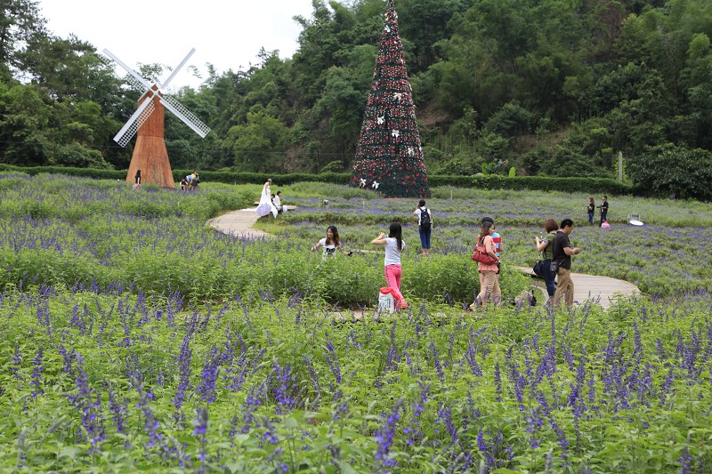 2013年盘龙峡 帐篷节 活动相片              (下面还有哦）884 / 作者:成 成 / 帖子ID:68326