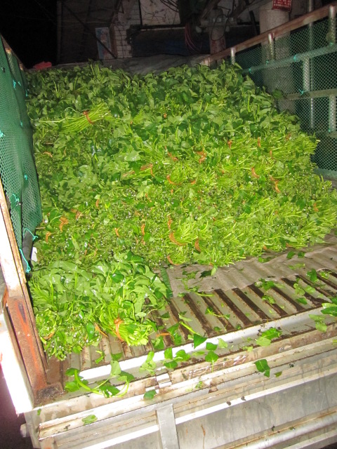 恭城的蔬菜早市646 / 作者:容容 / 帖子ID:68392