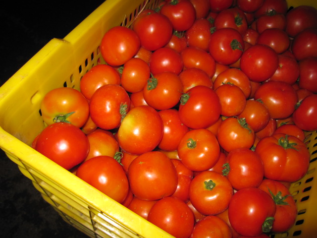 恭城的蔬菜早市230 / 作者:容容 / 帖子ID:68392