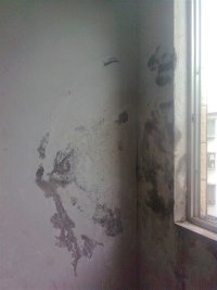 好消息，家里有楼房屋面漏水的朋友进来看下683 / 作者:利达防水 / 帖子ID:20455