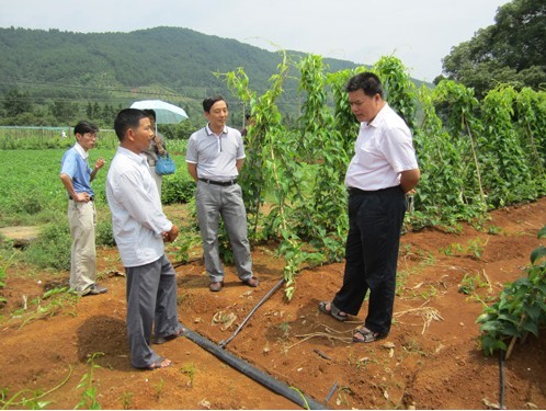 广西区农机局领导到恭城就农机购置补贴工作进行调研22 / 作者:风油精 / 帖子ID:68850