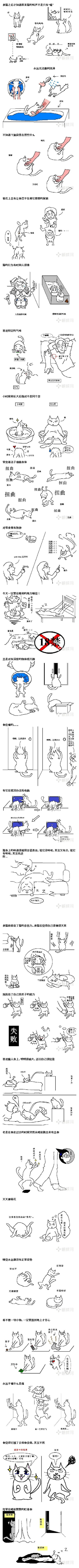 养过猫的人进来看看 你中了几个？165 / 作者:喵呜 / 帖子ID:68883