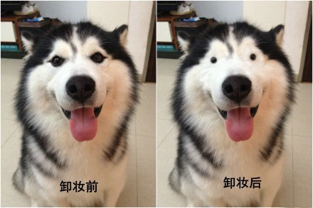 小哈果然是比较二854 / 作者:喵呜 / 帖子ID:68885