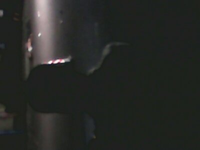 车祸926 / 作者:邪門兒 / 帖子ID:70324