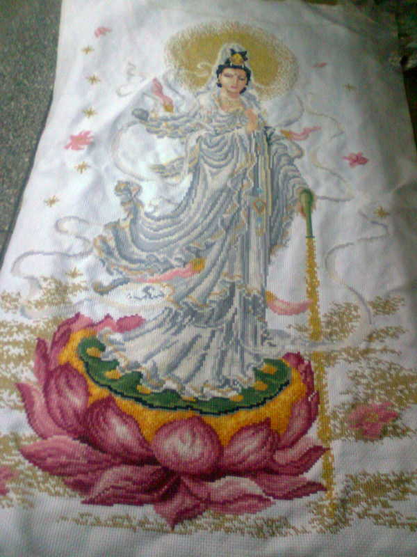 闲着也是闲着155 / 作者:淘气蜻蜓 / 帖子ID:70278