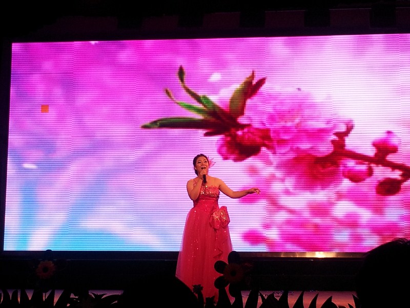 得不到看关公节，我就看晚会，啊呜呜486 / 作者:Them / 帖子ID:87596