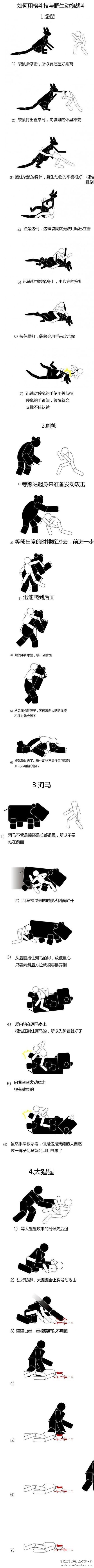 如何用格斗技与野生动物战斗998 / 作者:火星娃崽 / 帖子ID:91531