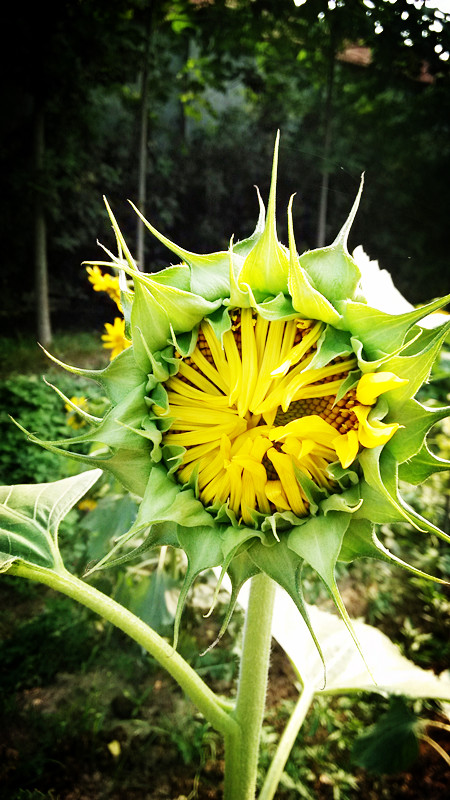 随拍780 / 作者:lydia / 帖子ID:91610