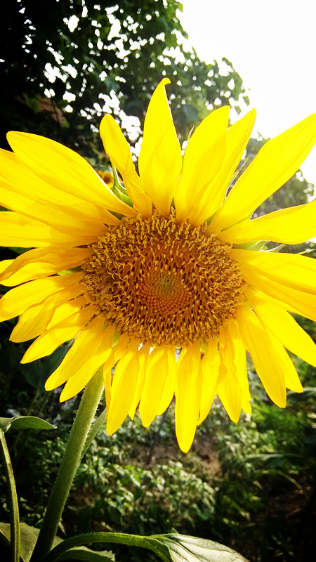 随拍3 / 作者:lydia / 帖子ID:91610