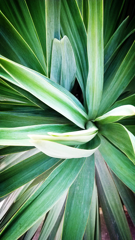 随拍312 / 作者:lydia / 帖子ID:91610