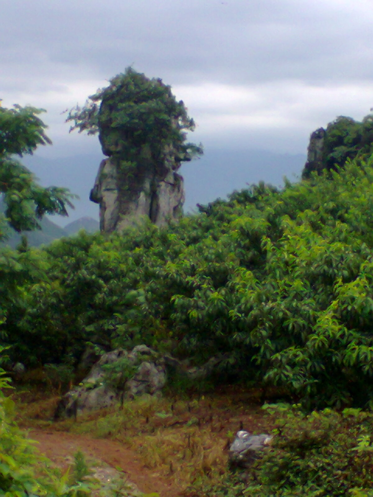 二师兄499 / 作者:否定一切 / 帖子ID:91658
