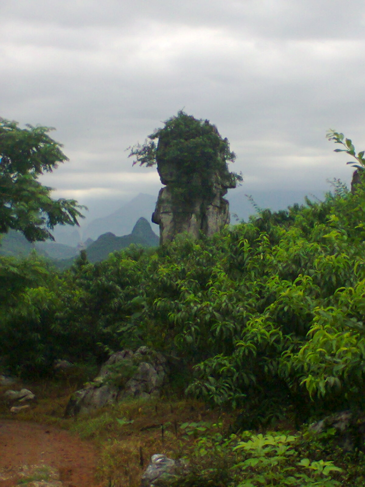 二师兄76 / 作者:否定一切 / 帖子ID:91658