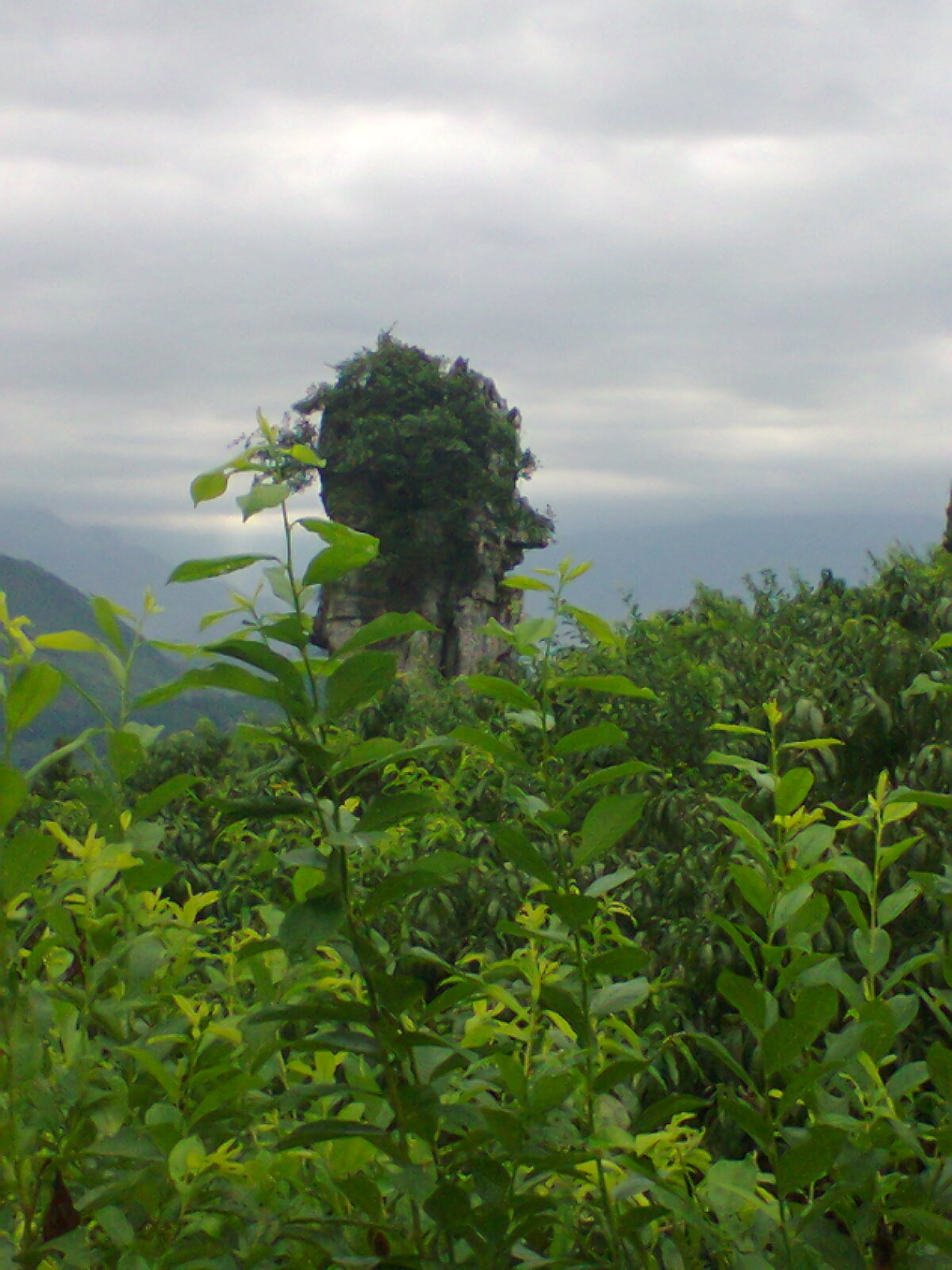 二师兄142 / 作者:否定一切 / 帖子ID:91658