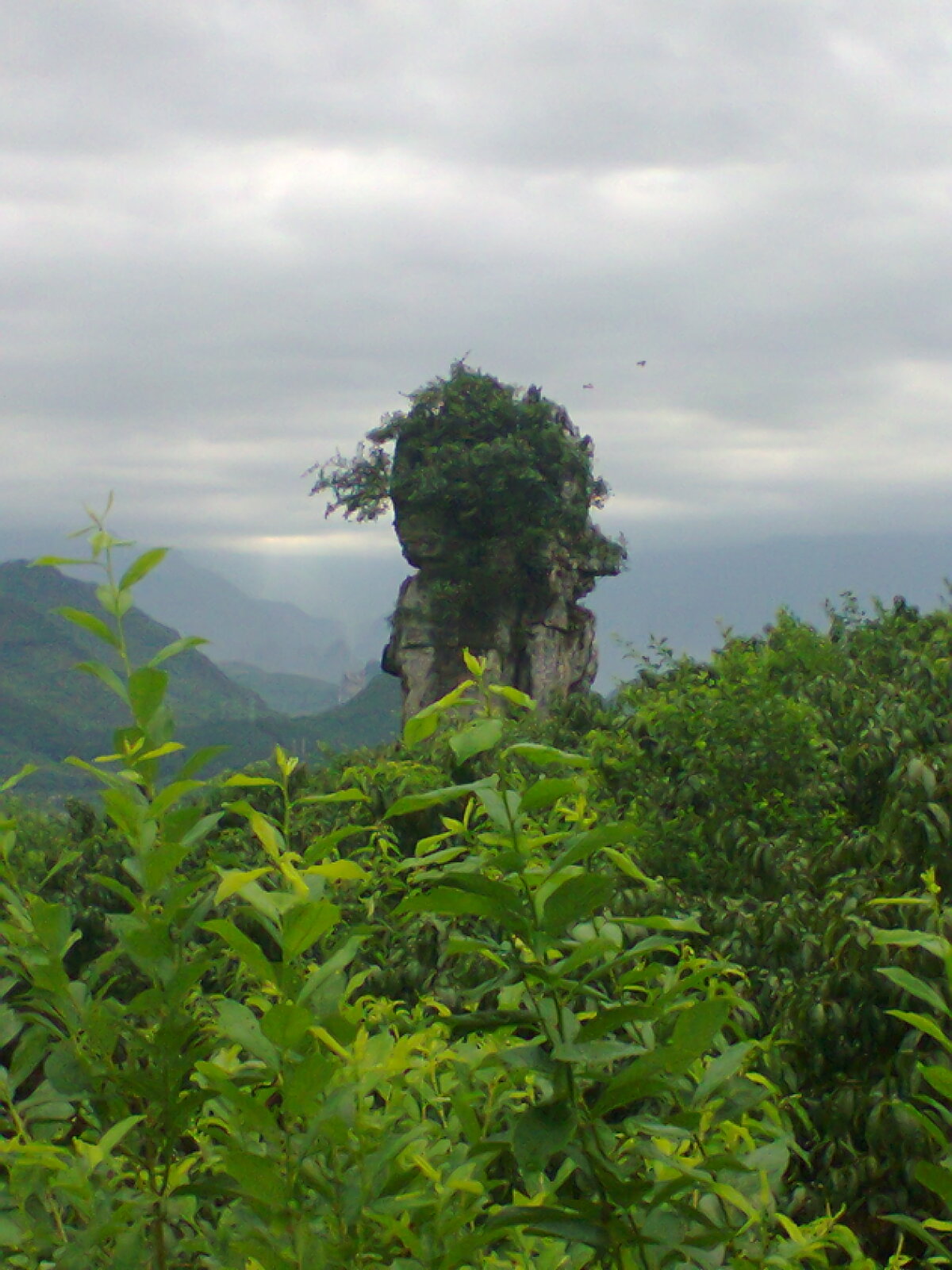 二师兄82 / 作者:否定一切 / 帖子ID:91658