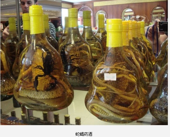 全球最惊悚的20大重口味&quot;美食&quot;568 / 作者:麻蛋 / 帖子ID:91682