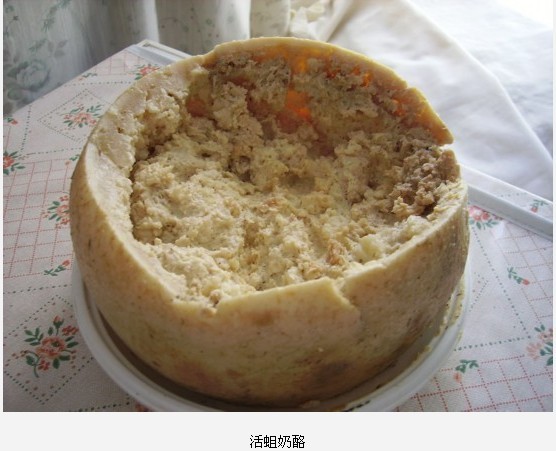 全球最惊悚的20大重口味&quot;美食&quot;151 / 作者:麻蛋 / 帖子ID:91682