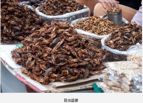 全球最惊悚的20大重口味&quot;美食&quot;354 / 作者:麻蛋 / 帖子ID:91682