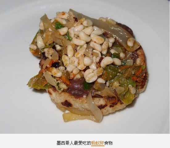 全球最惊悚的20大重口味&quot;美食&quot;207 / 作者:麻蛋 / 帖子ID:91682