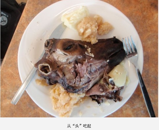 全球最惊悚的20大重口味&quot;美食&quot;682 / 作者:麻蛋 / 帖子ID:91682