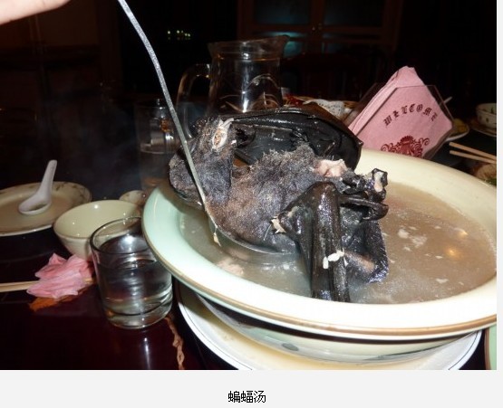 全球最惊悚的20大重口味&quot;美食&quot;436 / 作者:麻蛋 / 帖子ID:91682
