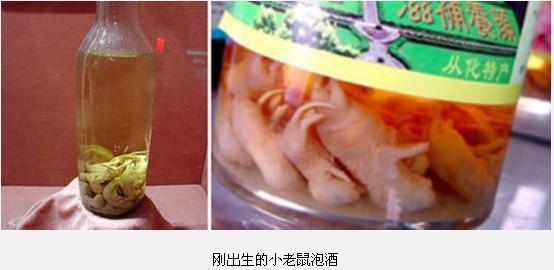 全球最惊悚的20大重口味&quot;美食&quot;360 / 作者:麻蛋 / 帖子ID:91682