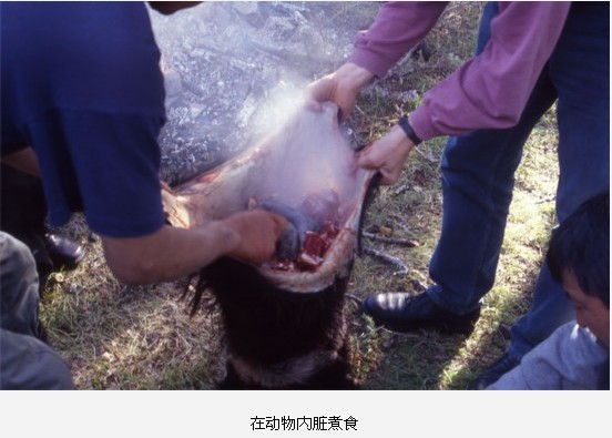 全球最惊悚的20大重口味&quot;美食&quot;115 / 作者:麻蛋 / 帖子ID:91682