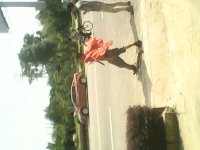 以后结婚不敢摆酒了369 / 作者:邪門兒 / 帖子ID:91709