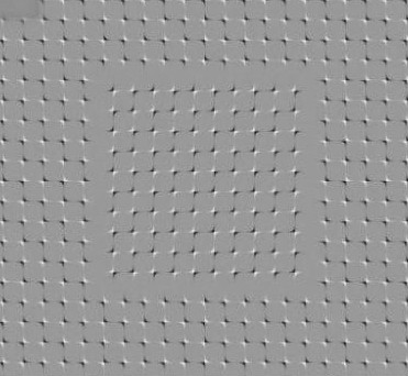 心理图测 趣图「分享」264 / 作者:蔷薇Jolie / 帖子ID:91753