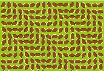 心理图测 趣图「分享」117 / 作者:蔷薇Jolie / 帖子ID:91753