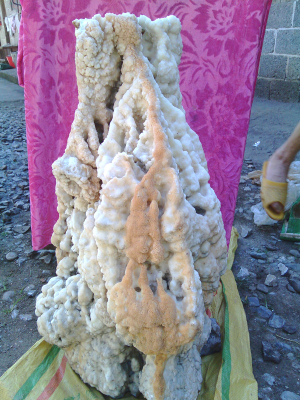 新人报到上个钟乳石200斤左右123 / 作者:玉中的云 / 帖子ID:92452