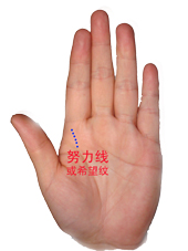 教你如何看手相掌握命运！准的离谱，看完我就傻了！算命的都是浮云！[值得收藏]990 / 作者:星想事成 / 帖子ID:92454