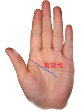 教你如何看手相掌握命运！准的离谱，看完我就傻了！算命的都是浮云！[值得收藏]957 / 作者:星想事成 / 帖子ID:92454