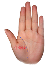 教你如何看手相掌握命运！准的离谱，看完我就傻了！算命的都是浮云！[值得收藏]124 / 作者:星想事成 / 帖子ID:92454