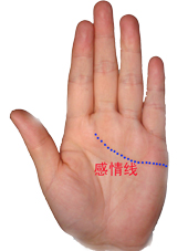 教你如何看手相掌握命运！准的离谱，看完我就傻了！算命的都是浮云！[值得收藏]291 / 作者:星想事成 / 帖子ID:92454