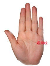 教你如何看手相掌握命运！准的离谱，看完我就傻了！算命的都是浮云！[值得收藏]507 / 作者:星想事成 / 帖子ID:92454