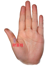 教你如何看手相掌握命运！准的离谱，看完我就傻了！算命的都是浮云！[值得收藏]385 / 作者:星想事成 / 帖子ID:92454