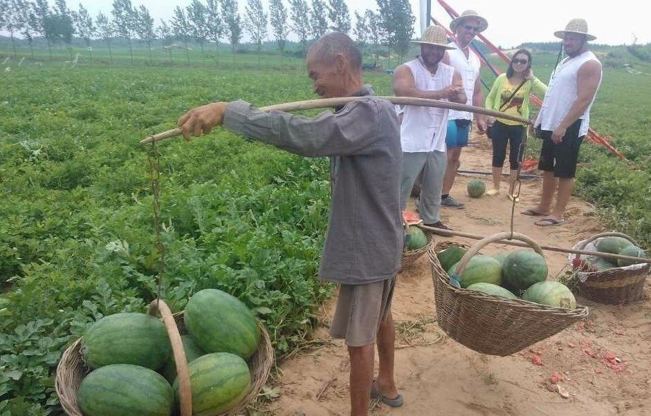 农村大婶拎百斤西瓜 惊呆国外大力士429 / 作者:马路桥~八区 / 帖子ID:92695